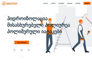 Screenshot of nikotay.ge