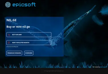 Скриншот nil.ge