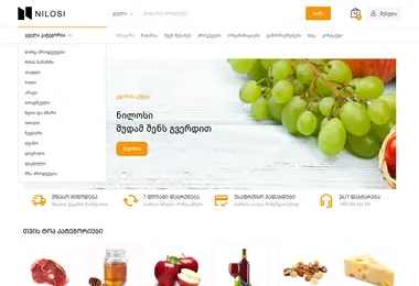 Screenshot of nilosi.ge