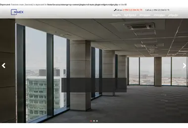 Screenshot of nimex.ge