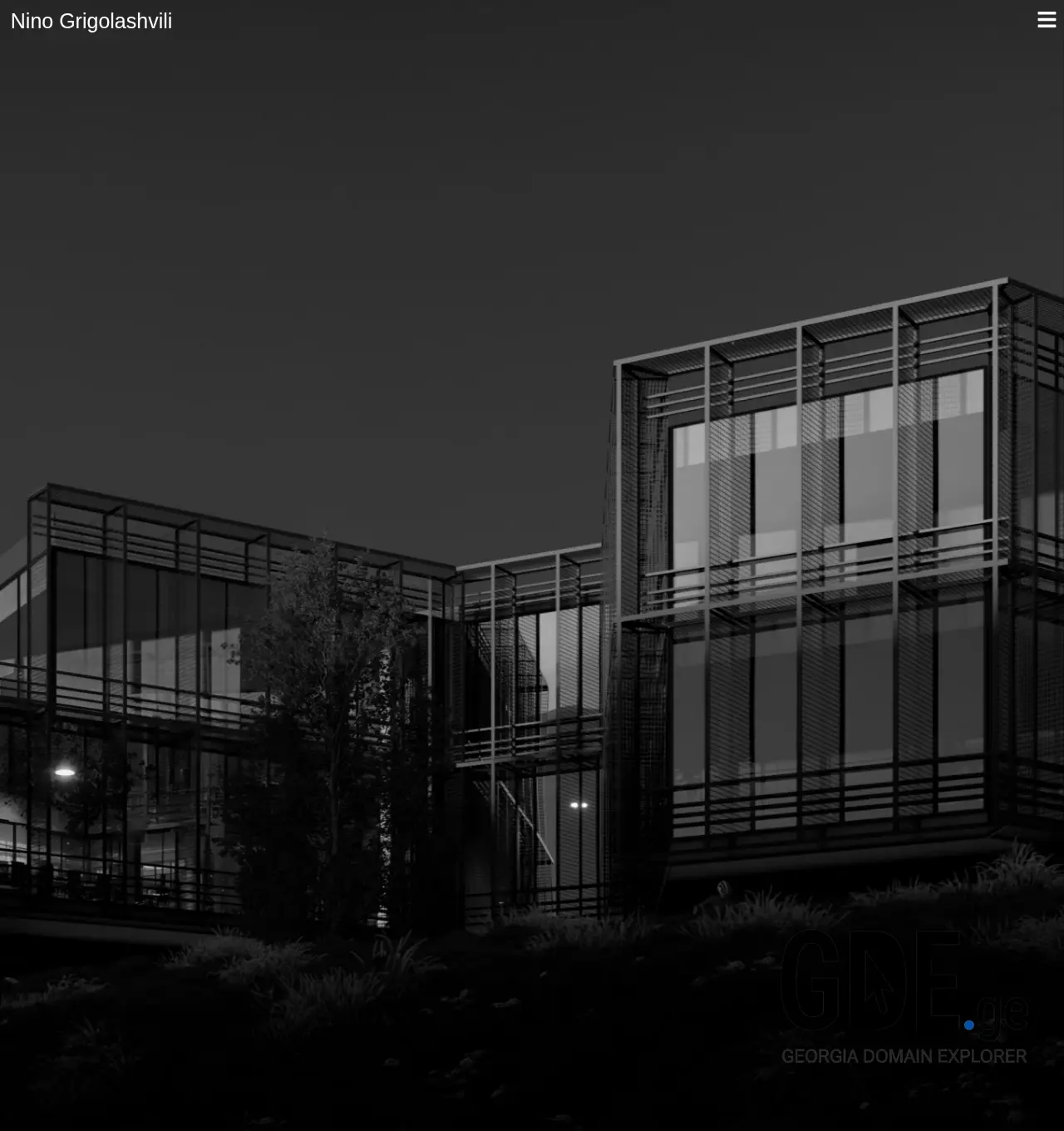 Screenshot of the site ninogrigolashvili.ge at 2025-12-06