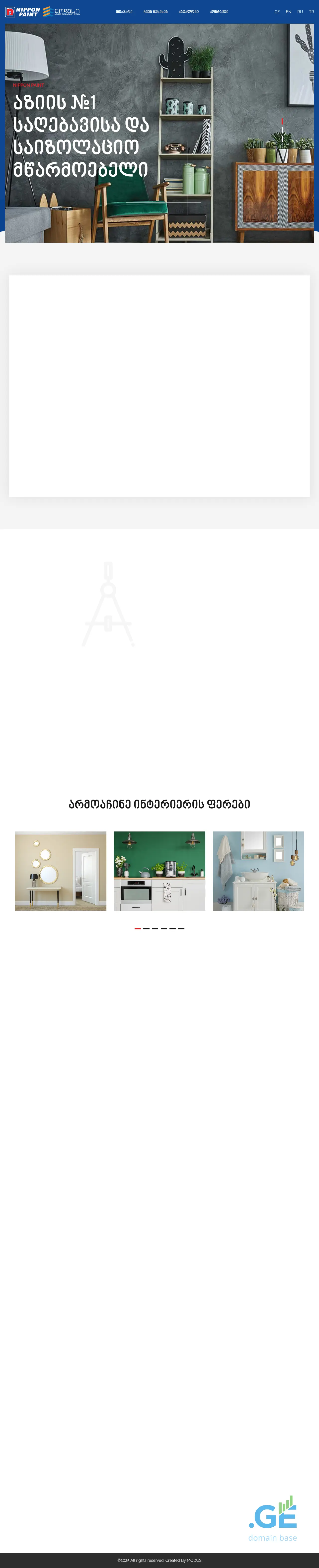 Screenshot of the site nipponpaint.ge
