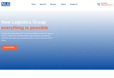 Screenshot of nlg.com.ge