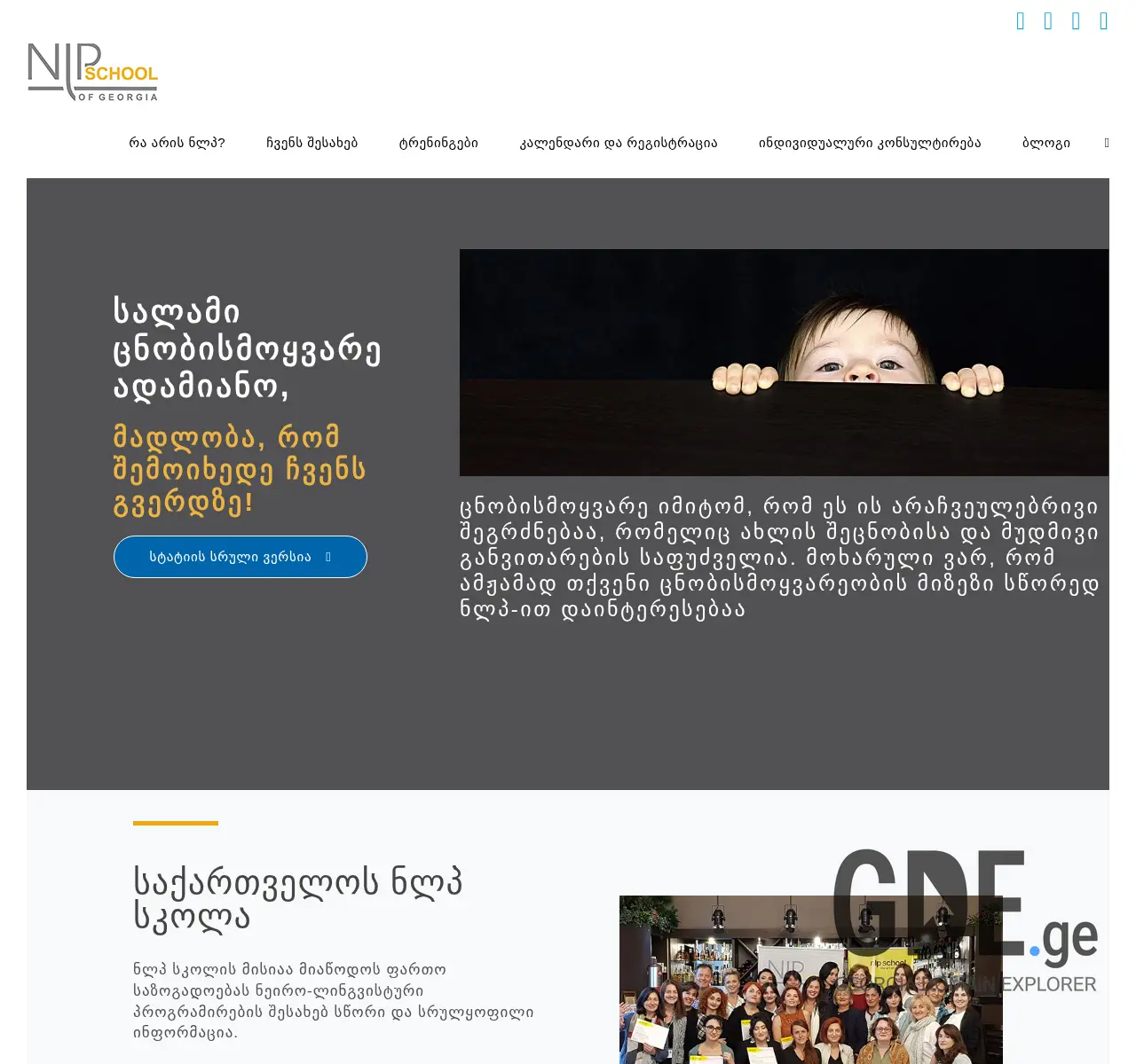 Screenshot of the site nlpschool.ge at 2025-11-26