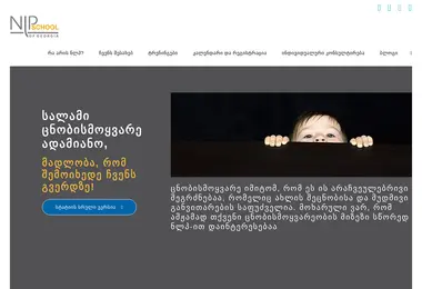 Screenshot of nlpschool.ge