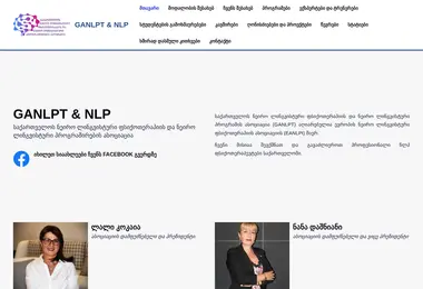 Screenshot of nlpt.ge