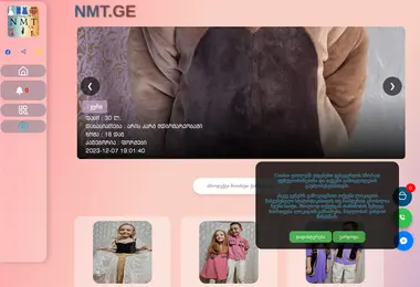 nmt.ge-ის ეკრანის სურათი