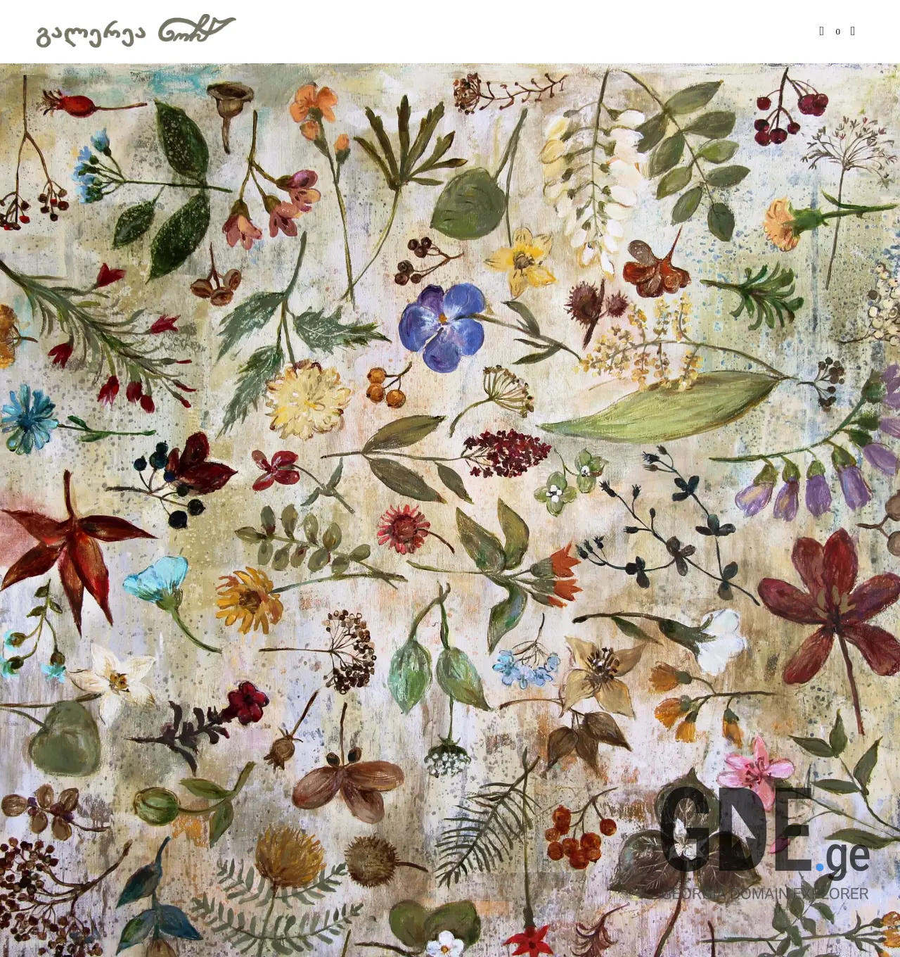 Screenshot of the site nocha.ge at 2025-12-03