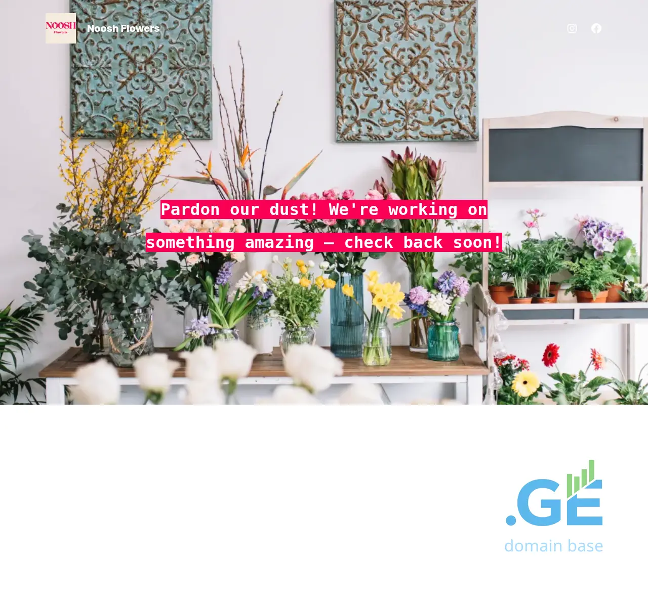 Screenshot of the site nooshflowers.ge at 2025-11-07