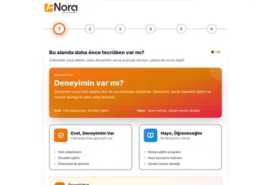 Screenshot of nora.ge