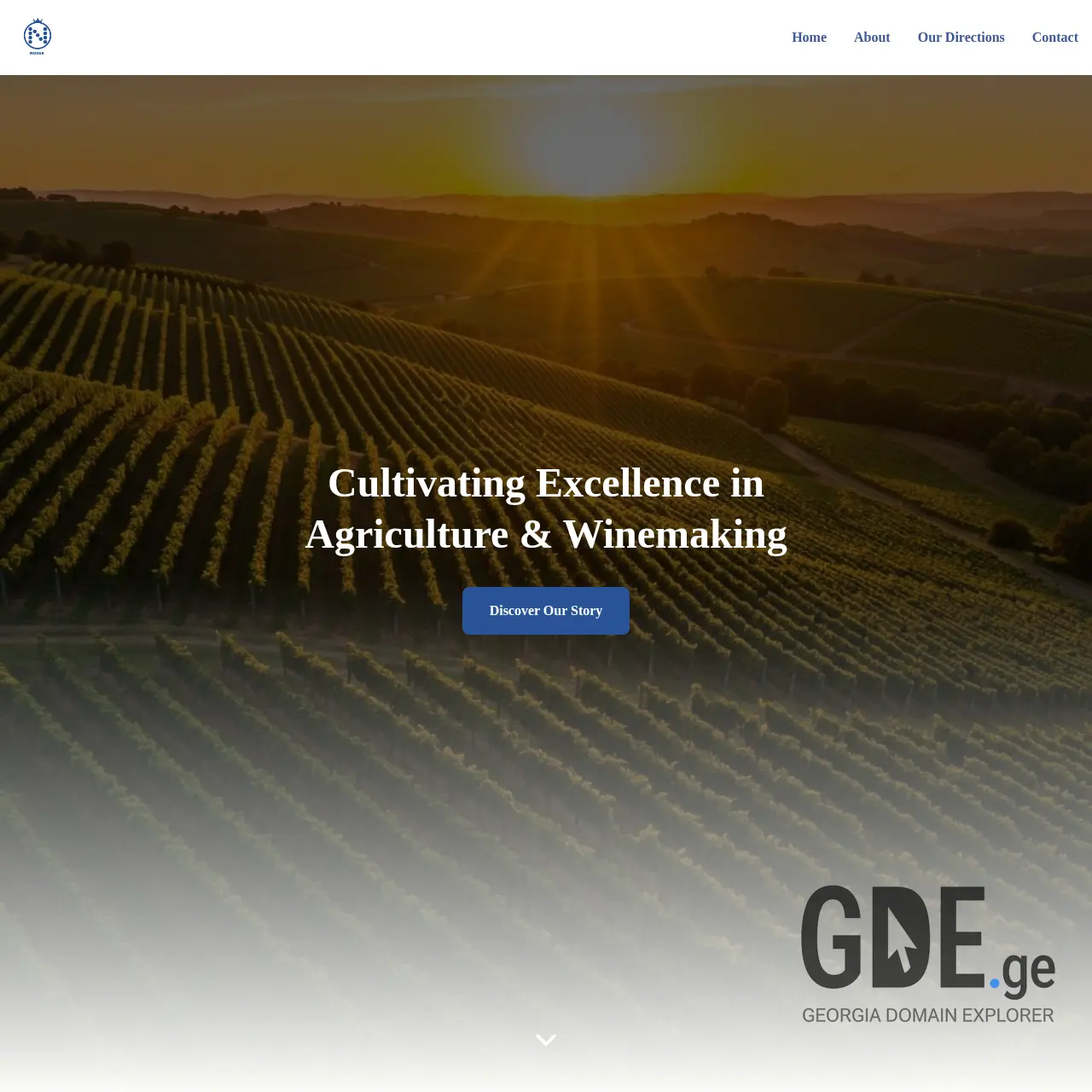 Screenshot of the site nossa.ge at 2026-01-01