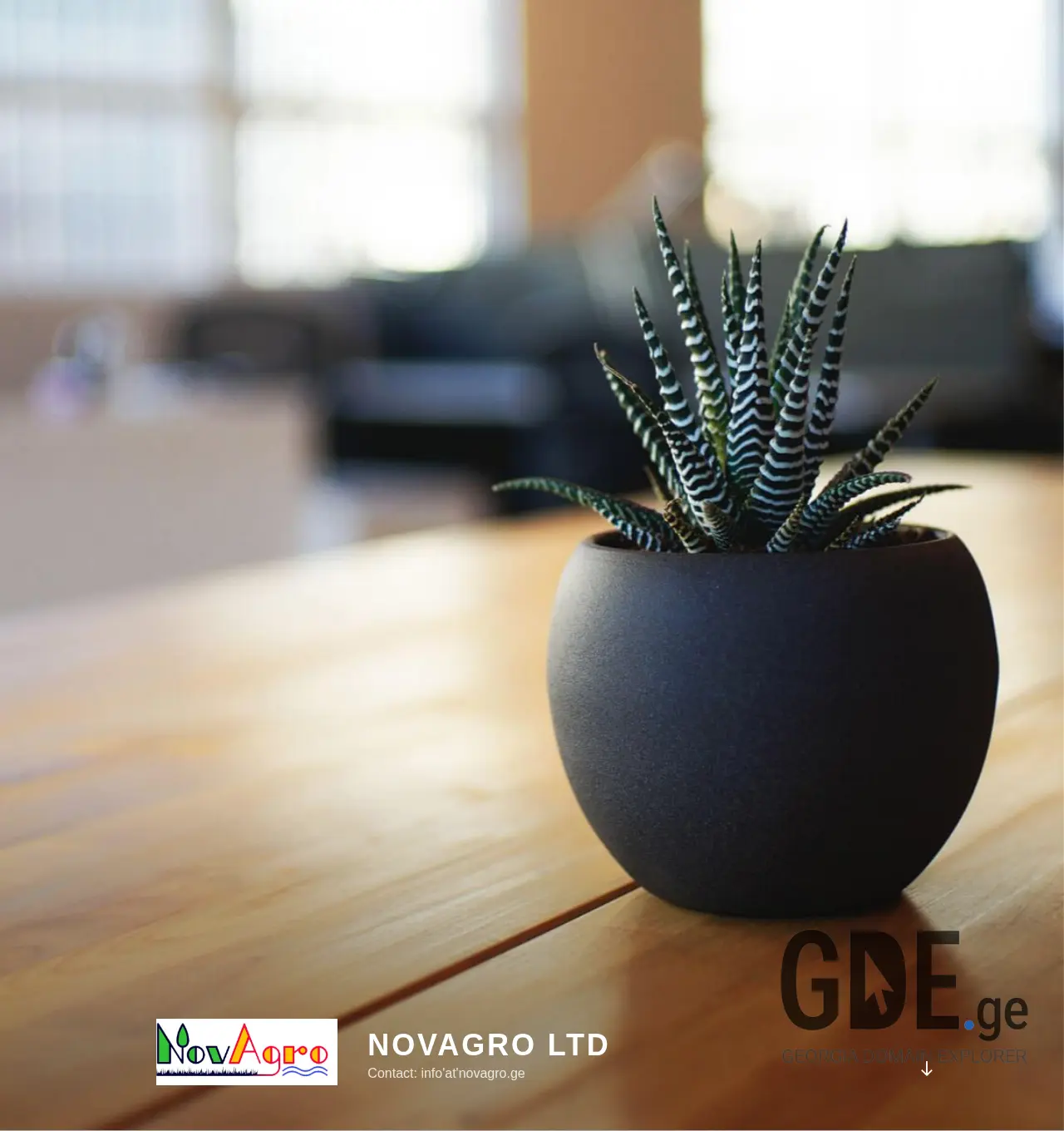 Screenshot of the site novagro.ge at 2025-12-02