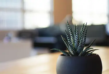 Preview from 02.12.2025