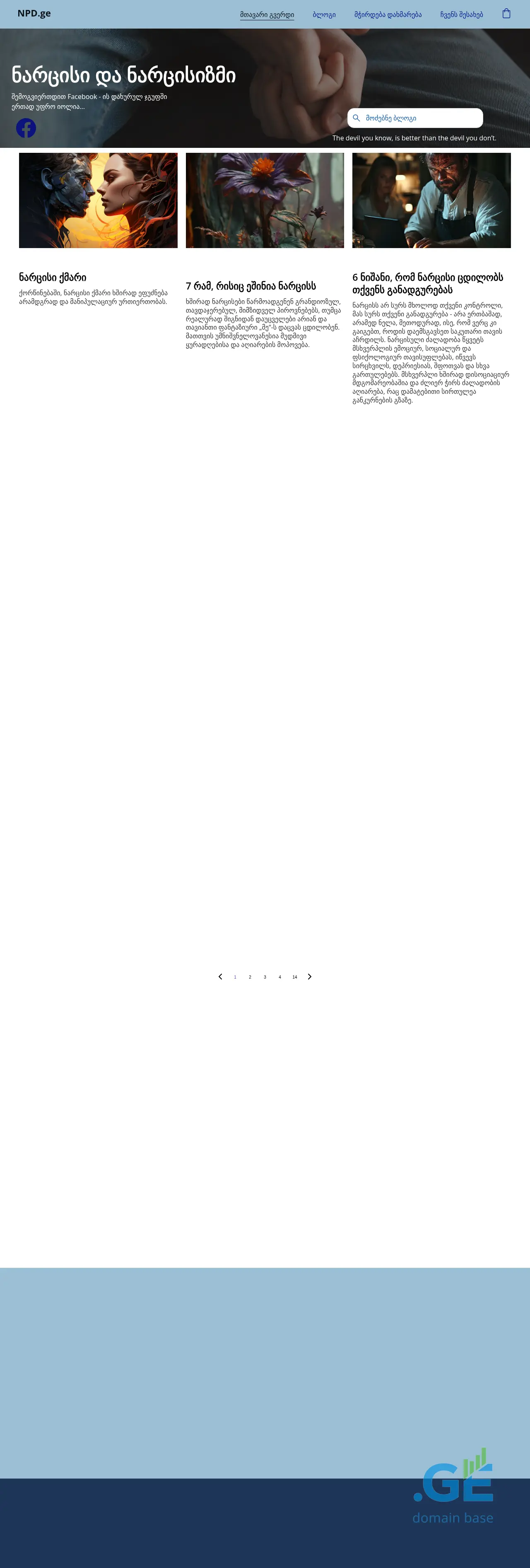 Screenshot of the site npd.ge