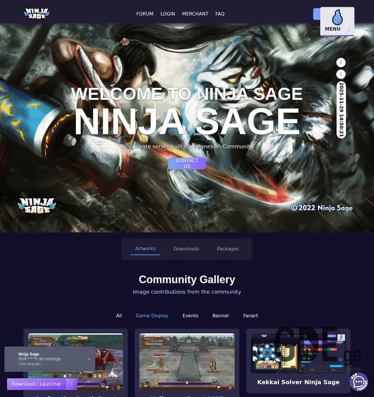 Screenshot of the site nsa.ge at 2025-11-29