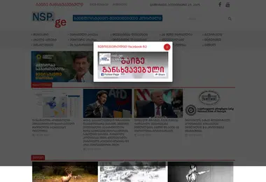 Screenshot of nsp.ge