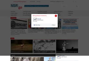 Screenshot of nsp.ge