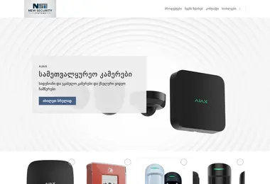 Screenshot of nss.ge