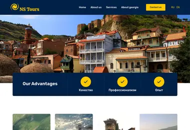 Screenshot of nstours.ge