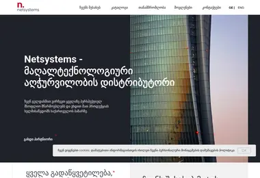 nsystems.ge-ის ეკრანის სურათი