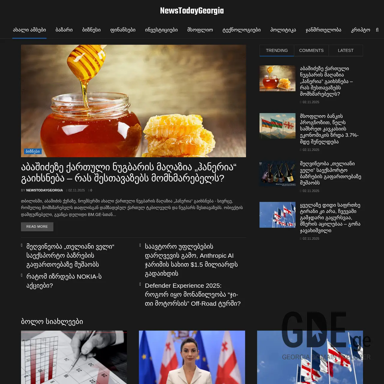 Screenshot of the site ntg.ge at 2025-12-12