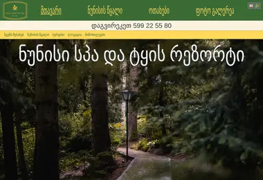 Скриншот nunisi.ge