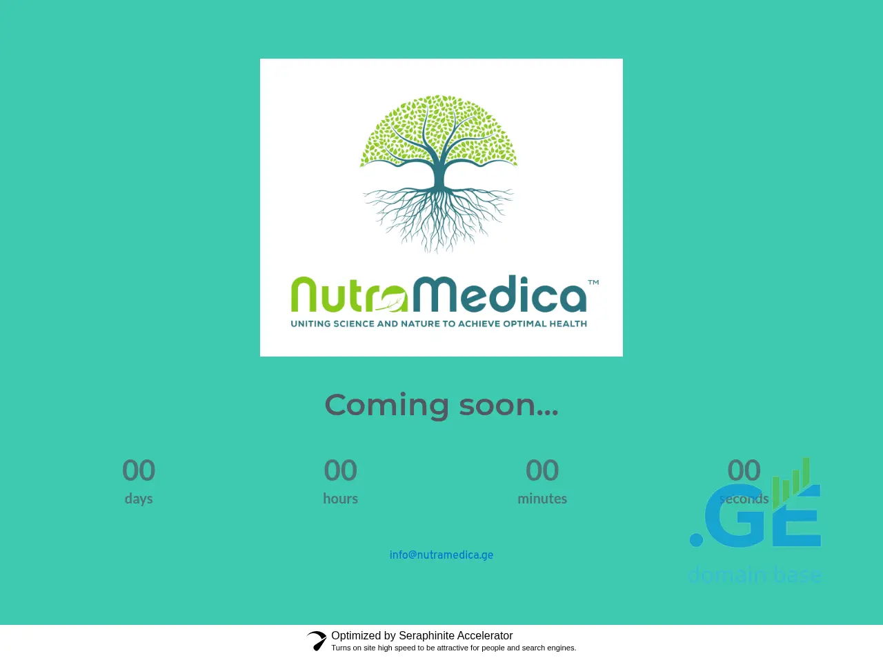 Screenshot of the site nutramedica.ge