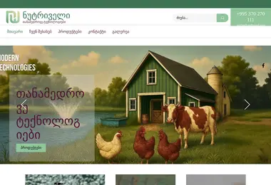 nutriwell.ge-ის ეკრანის სურათი
