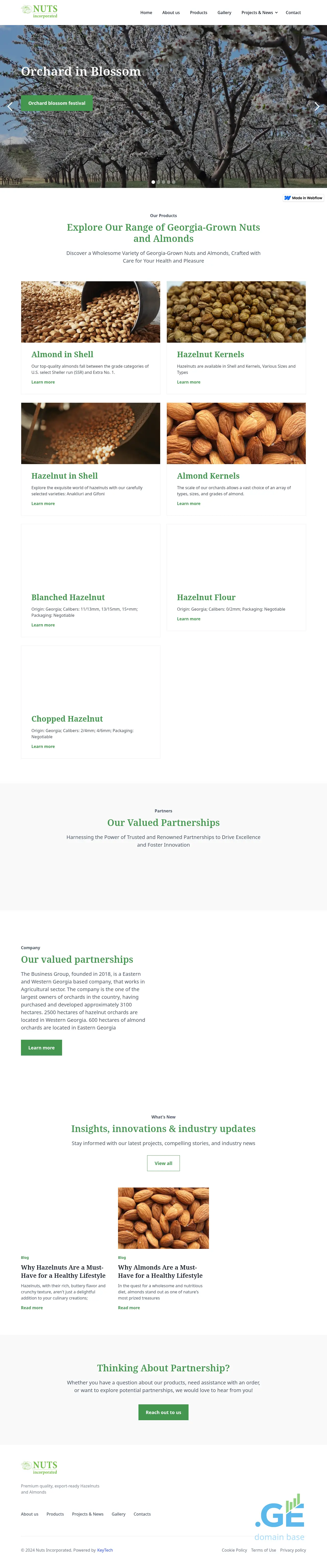 Screenshot of the site nutsinc.ge