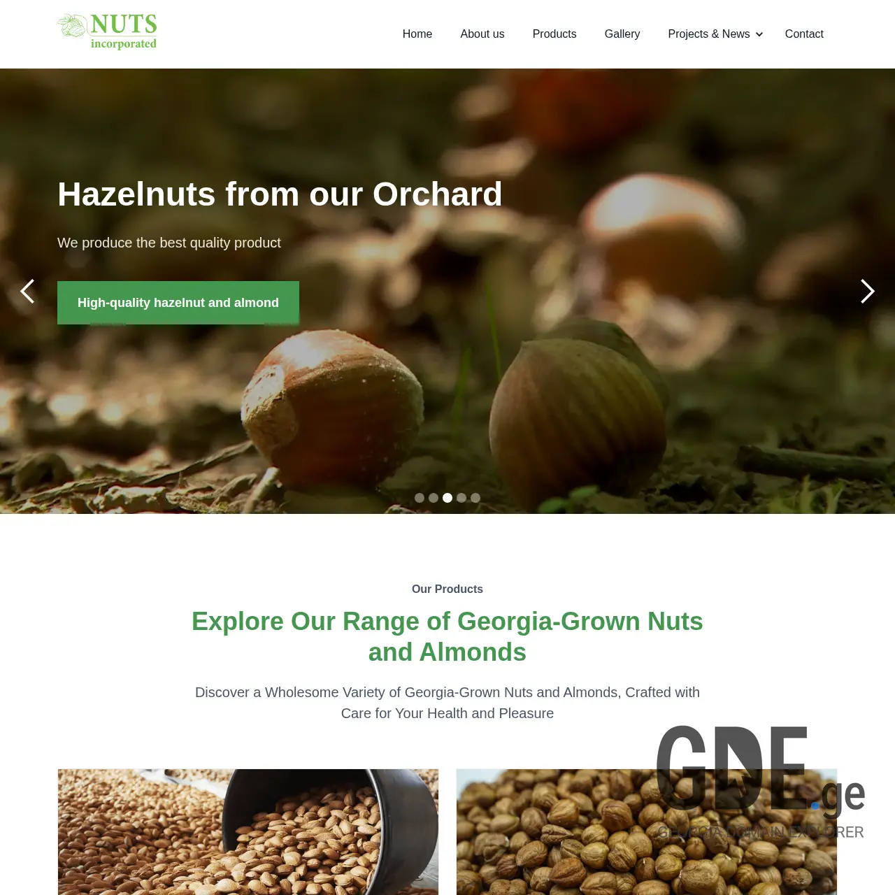 Screenshot of the site nutsinc.ge at 2025-12-11