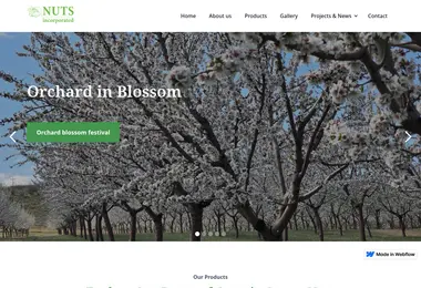 Screenshot of nutsinc.ge