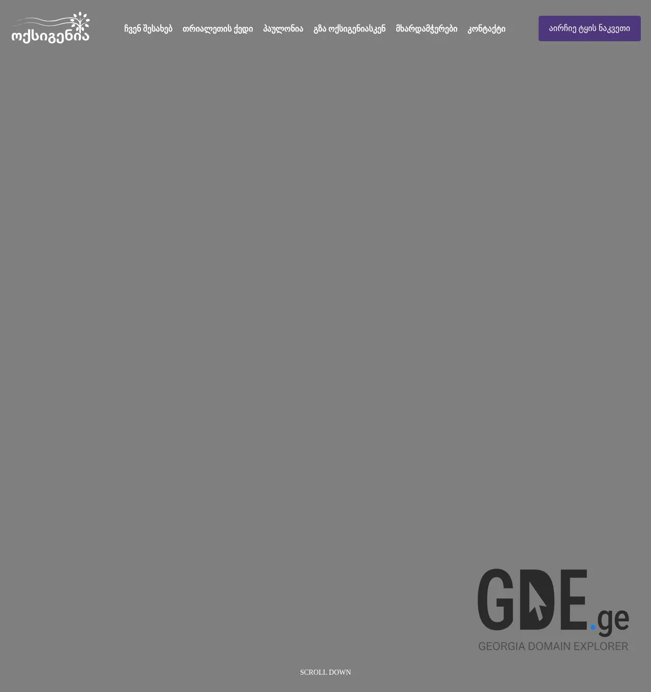 Screenshot of the site o2.ge at 2025-11-30