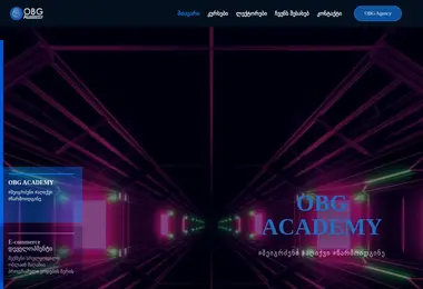 Screenshot of obgacademy.ge