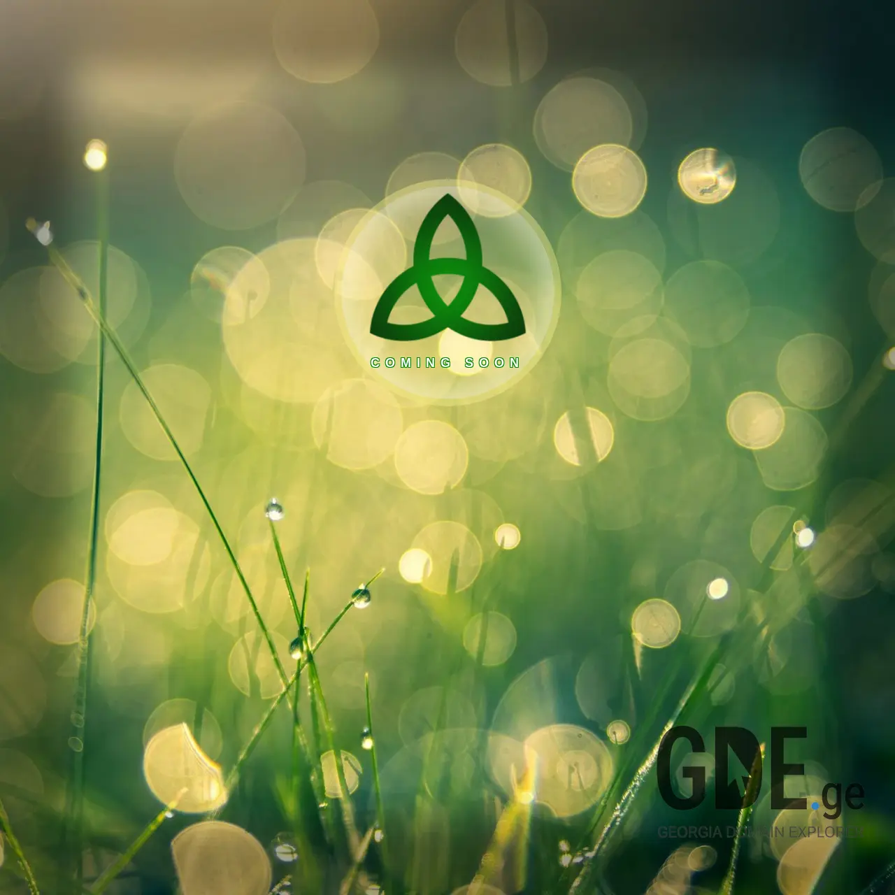 Screenshot of the site oceangroup.ge at 2025-12-08