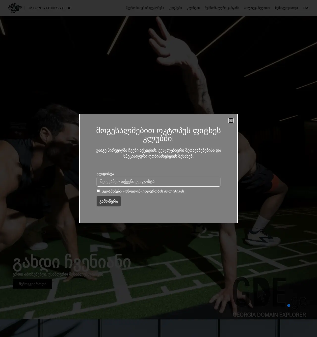 Screenshot of the site octopus.ge at 2025-12-03