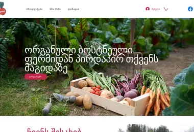 Screenshot of odashifarm.ge