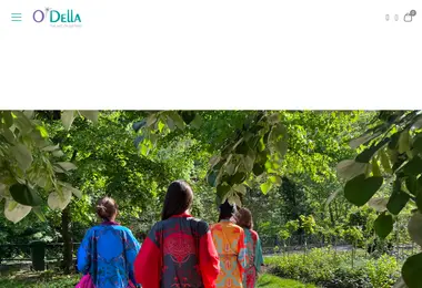 Скриншот odella.ge