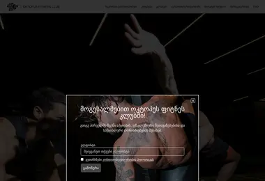 Скриншот oktopus.ge