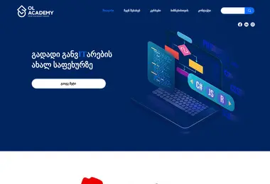 Скриншот olacademy.ge