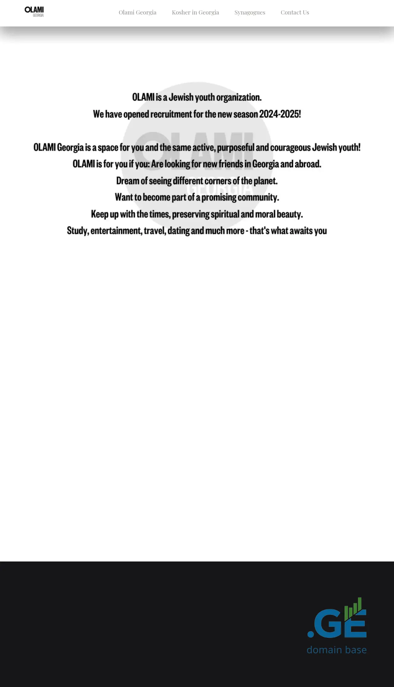 Screenshot of the site olami.ge at 2025-10-10