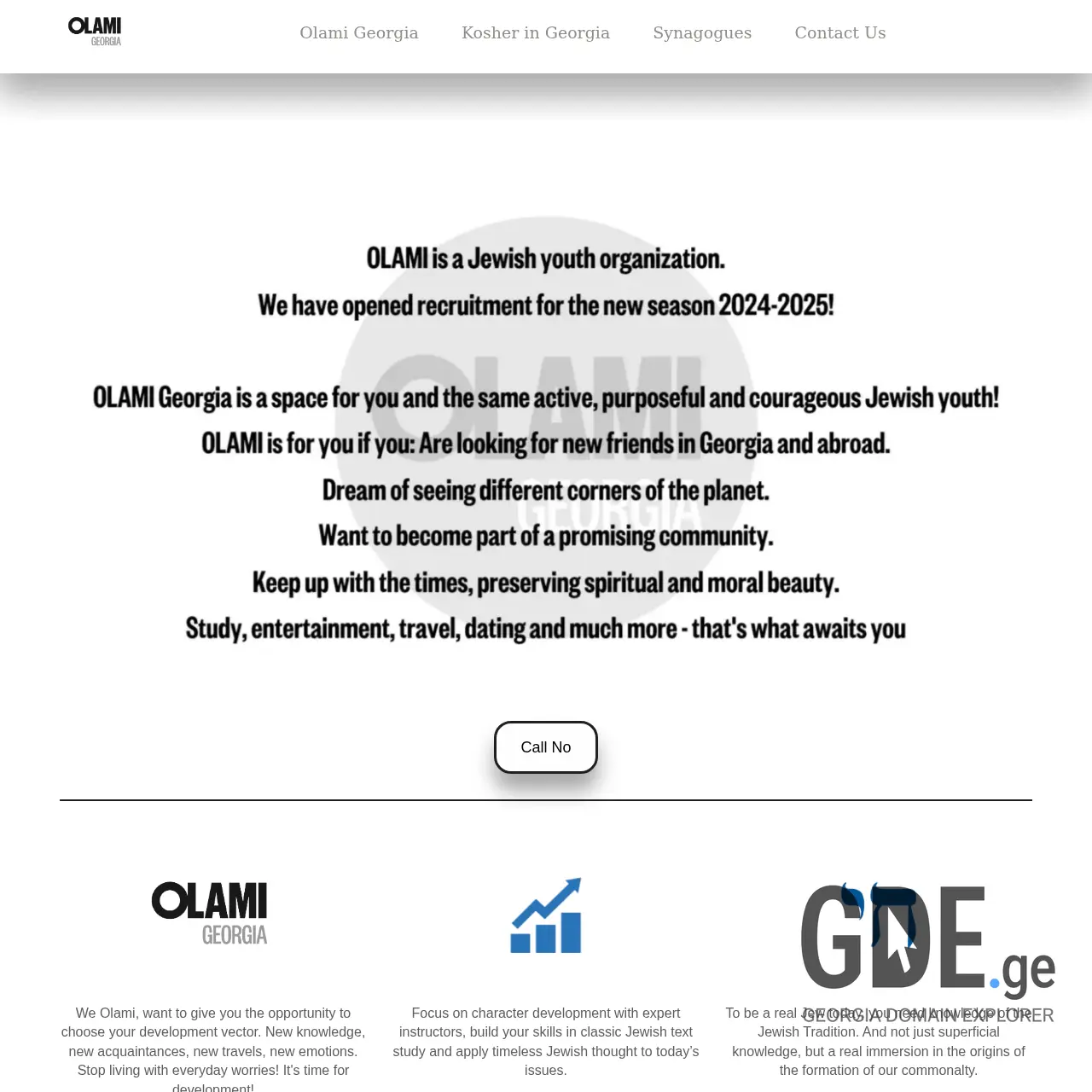 Screenshot of the site olami.ge at 2025-12-12