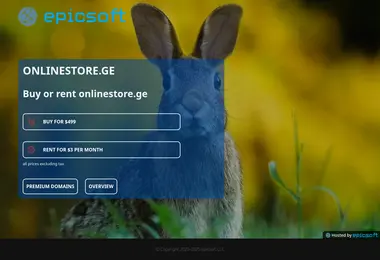 Screenshot of onlinestore.ge