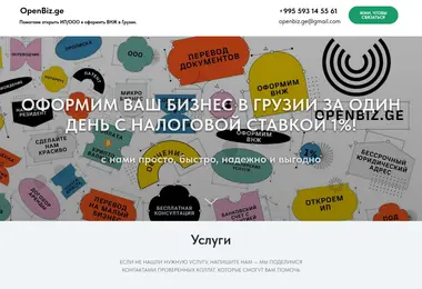 Screenshot of openbiz.ge
