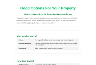 Screenshot of options.ge
