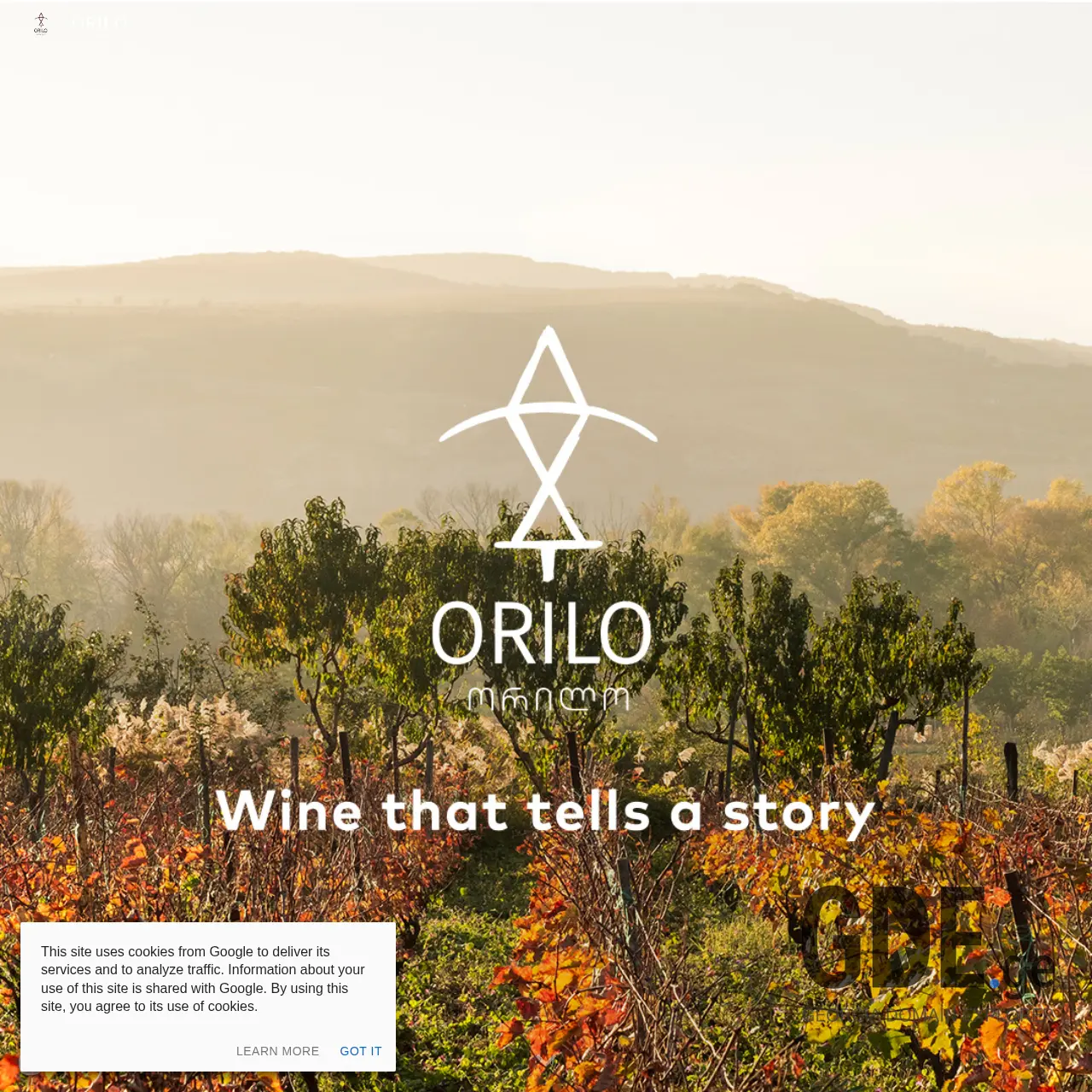Screenshot of the site orilo.ge at 2025-12-12