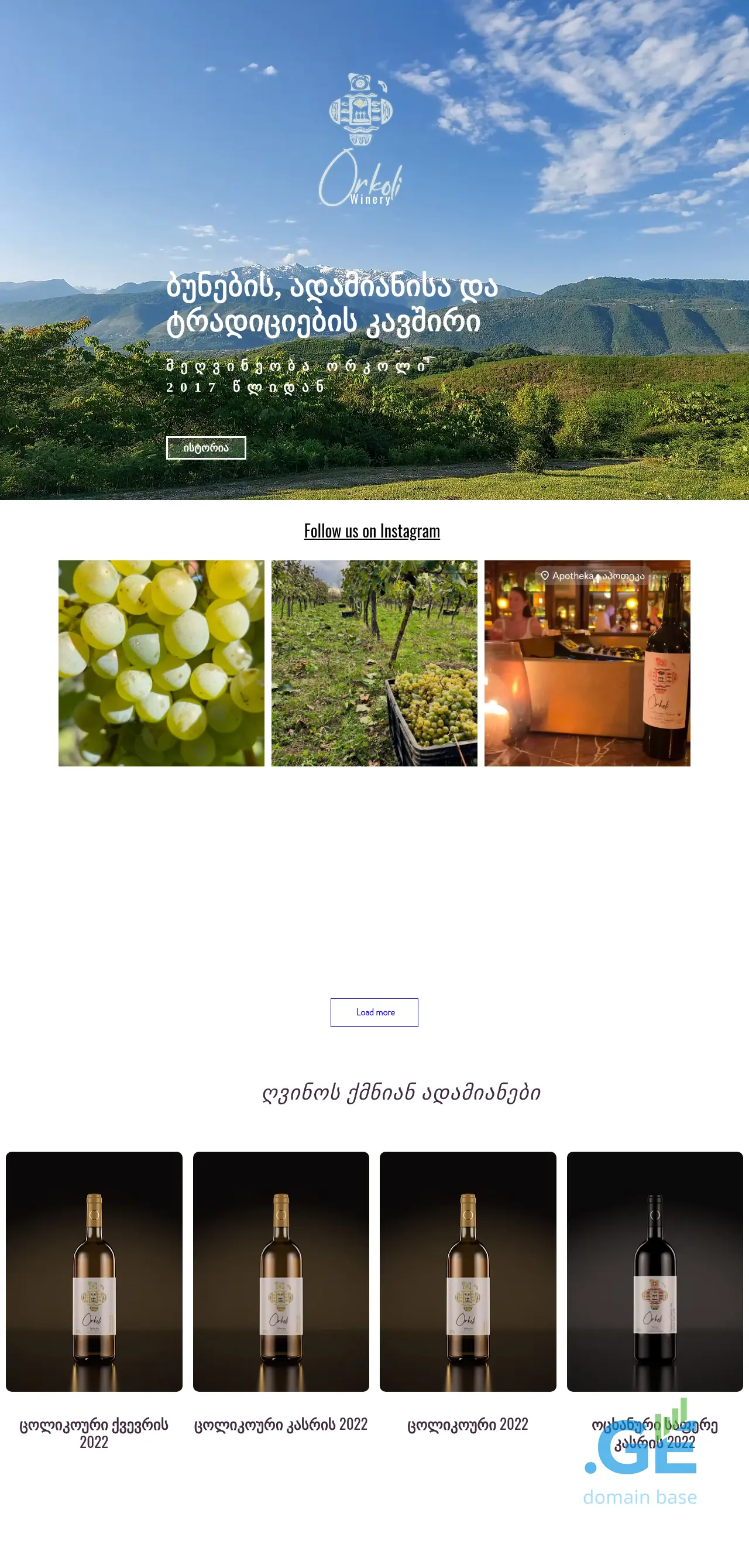 Screenshot of the site orkoli.ge