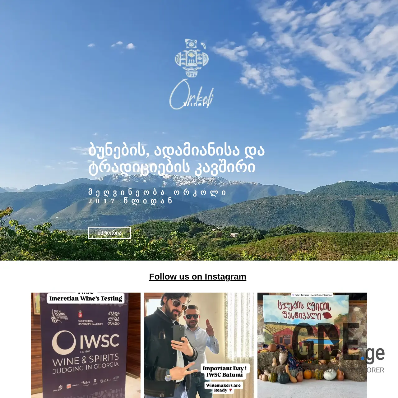 Screenshot of the site orkoli.ge at 2025-12-12