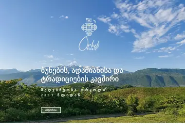 orkoli.ge-ის ეკრანის სურათი