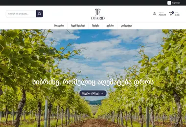 Screenshot of otarid.ge