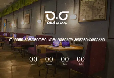 Screenshot of owlgroup.ge